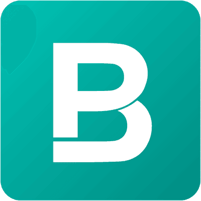 Bigpicture io logo